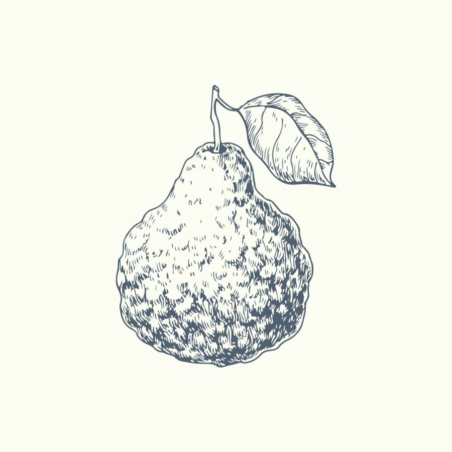 Bergamot